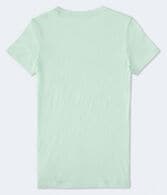 Aeropostale Crest Flocked Graphic Tee