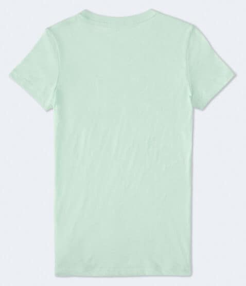 Aeropostale Crest Flocked Graphic Tee Aeropostale Crest Flocked Graphic Tee