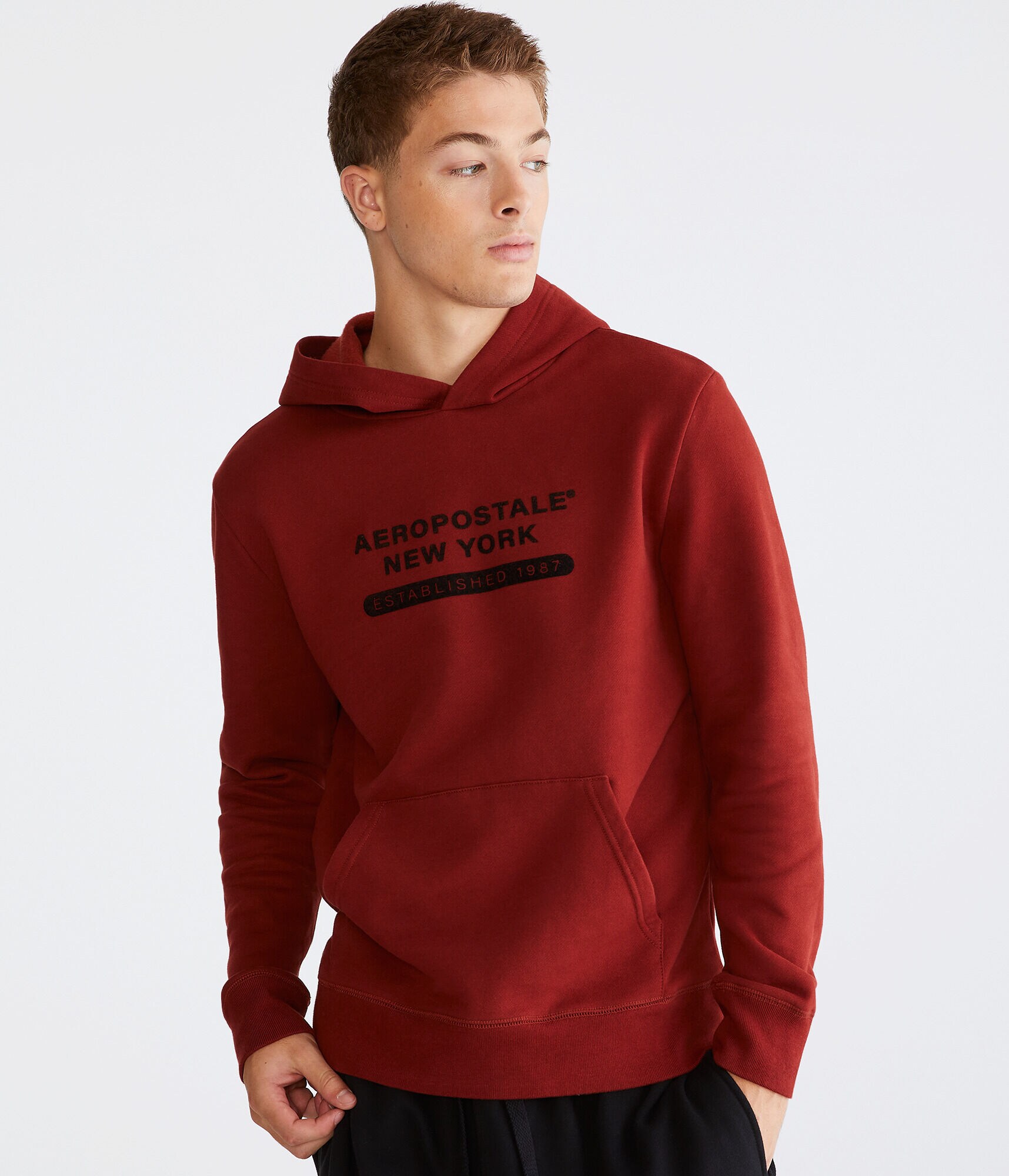 Aeropostale New York Pullover Hoodie