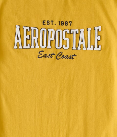 Aeropostale East Coast Appliqué Graphic Tee