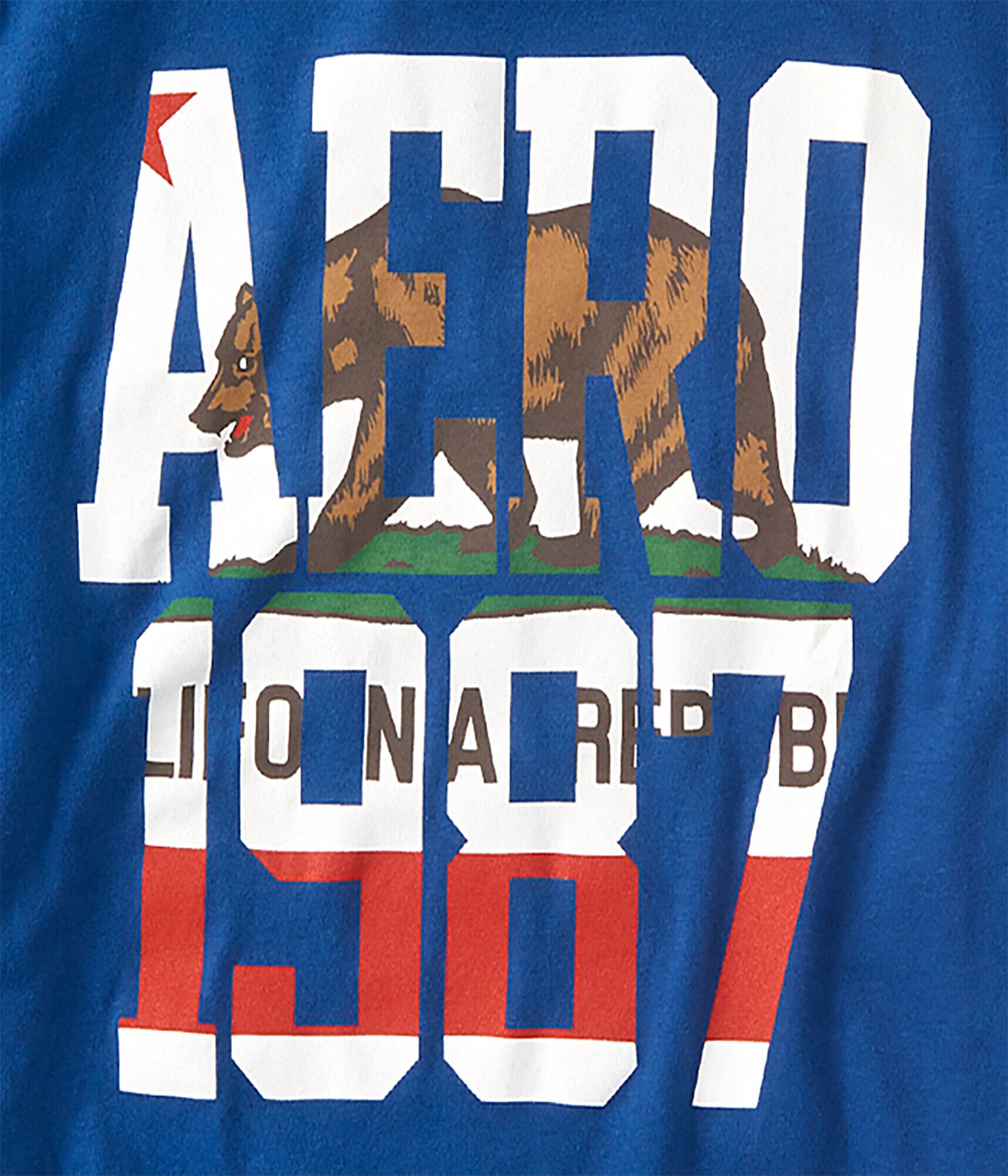 Aero Bear 1987 Graphic Tee