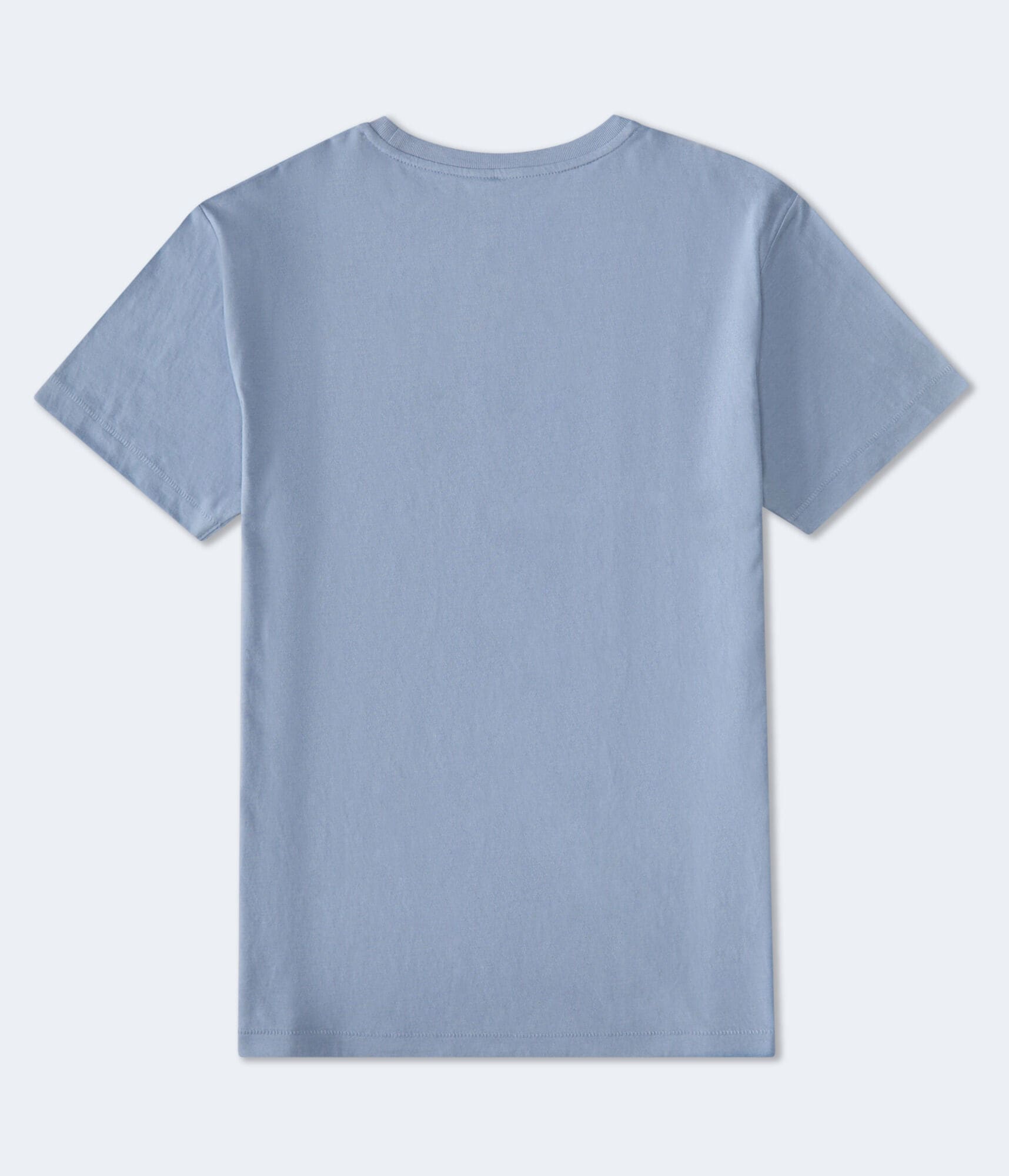 Aero 87 Bear Graphic Tee