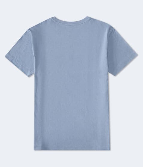 Aero 87 Bear Graphic Tee Aero 87 Bear Graphic Tee