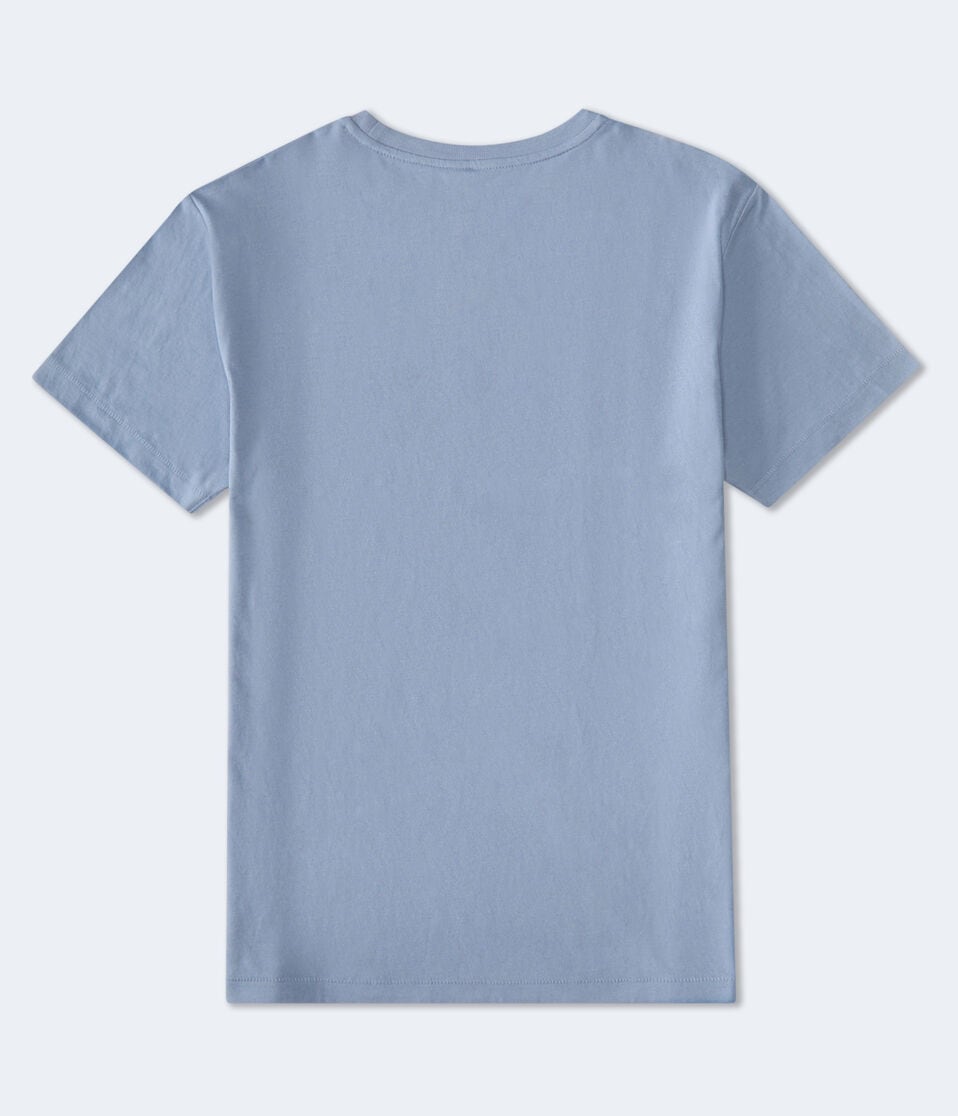 Aero 87 Bear Graphic Tee
