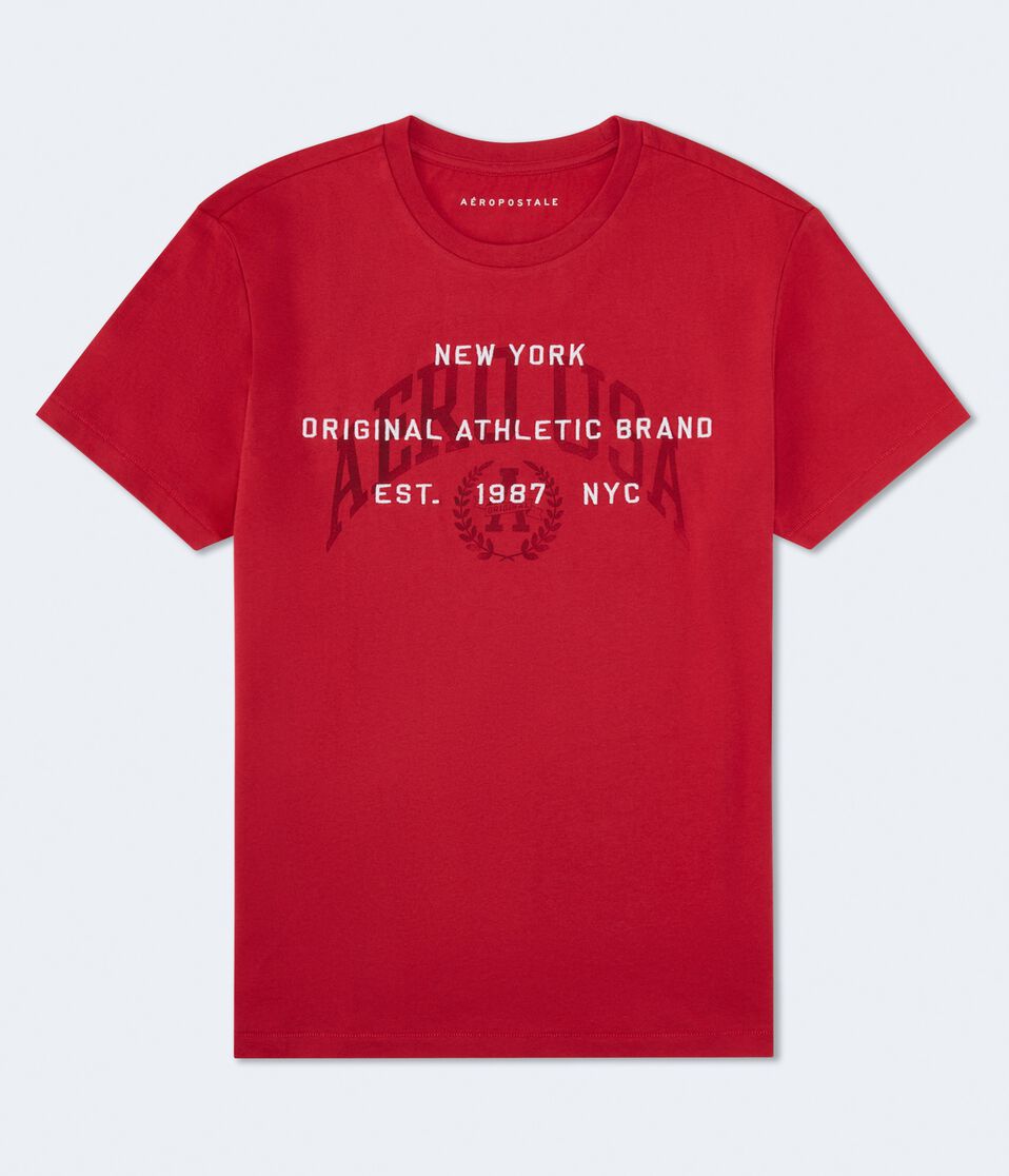 Aero USA Arch Graphic Tee