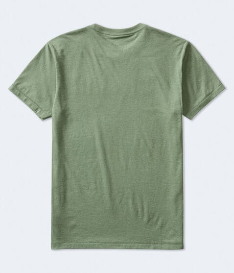 Aeropostale Authentic Logo Flocked Graphic Tee Aeropostale Authentic Logo Flocked Graphic Tee