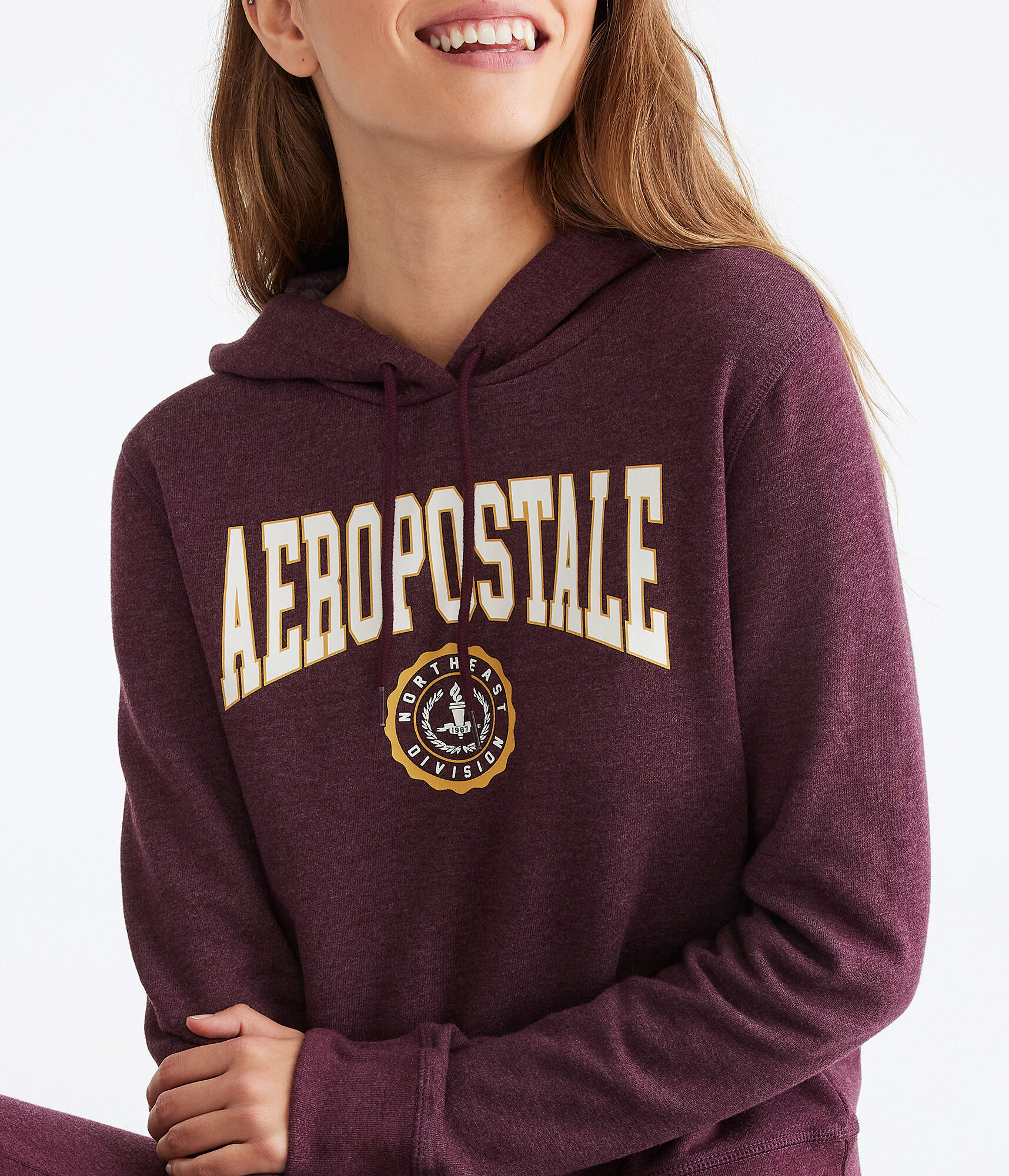 Aeropostale Northeast Crest Pullover Hoodie
