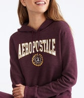Aeropostale Northeast Crest Pullover Hoodie