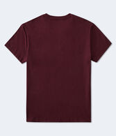 Aeropostale Script Logo Appliqué Graphic Tee