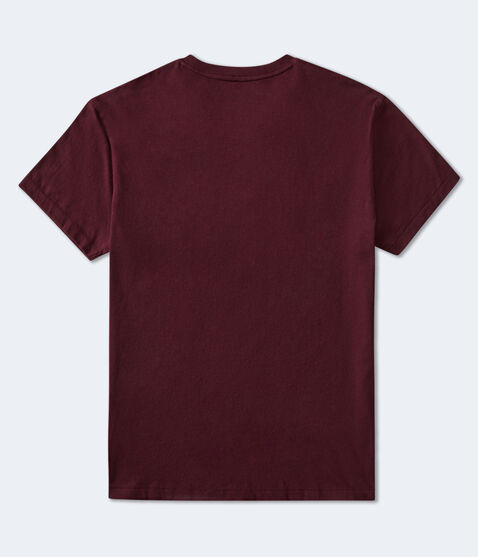 Aeropostale Script Logo Appliqué Graphic Tee