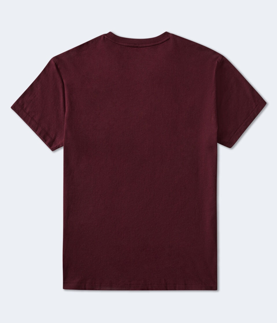 Aeropostale Script Logo Appliqué Graphic Tee