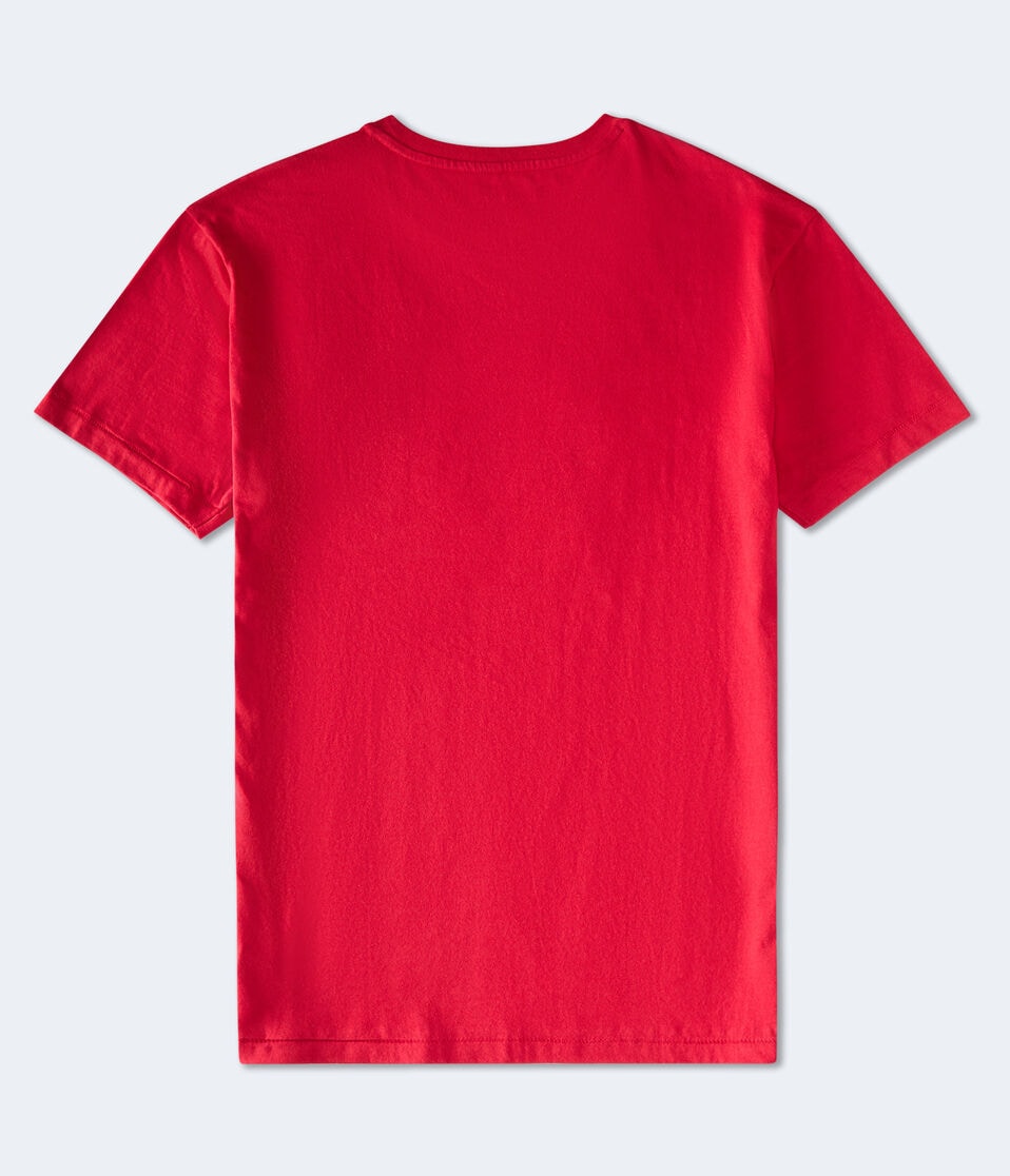 Aeropostale Arch Appliqué Graphic Tee