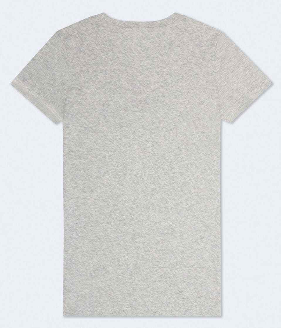 Aero Bear Appliqué Graphic Tee
