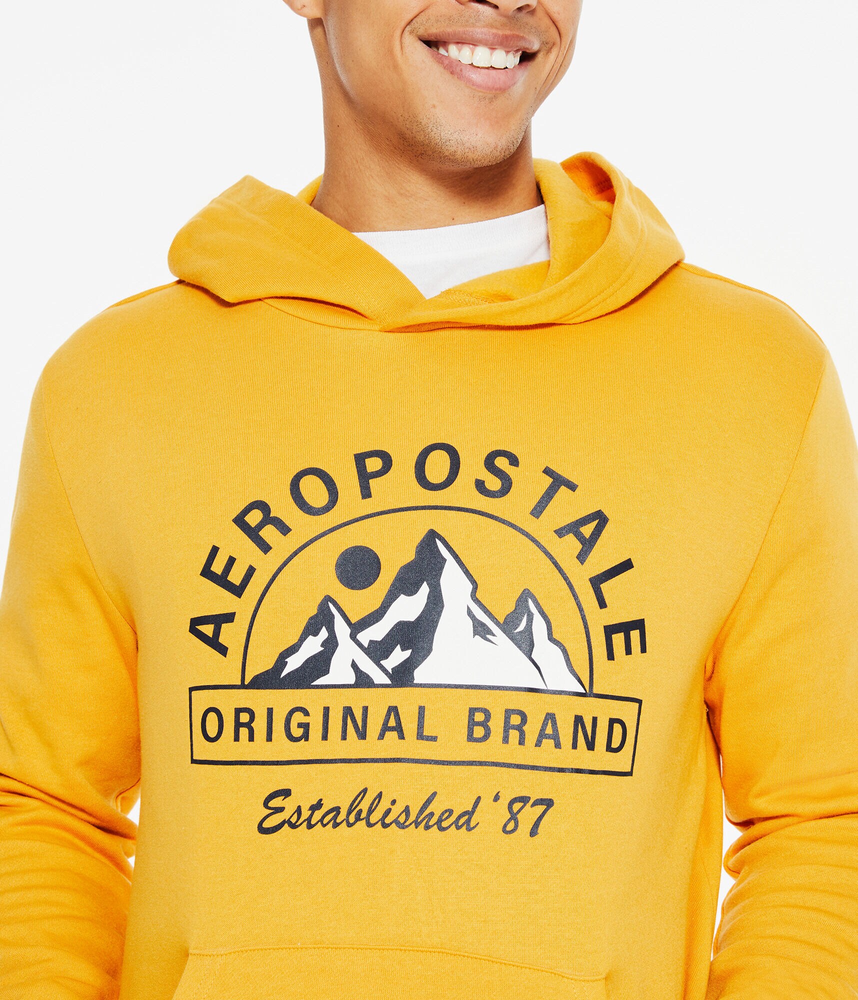 Aeropostale Mountains Pullover Hoodie