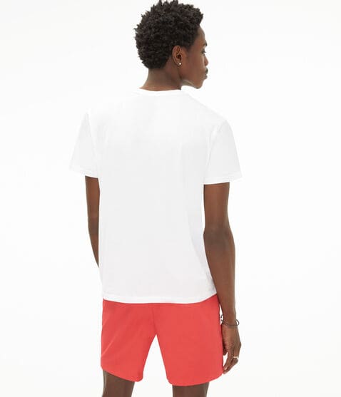 Aero Palm Tree Box Logo Appliqué Graphic Tee Aero Palm Tree Box Logo Appliqué Graphic Tee