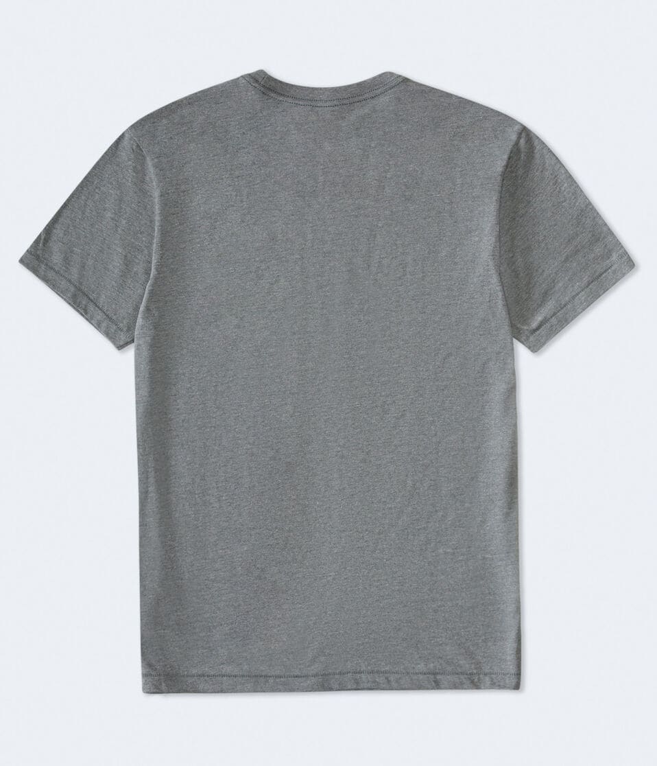 Aeropostale West Coast Appliqué Graphic Tee