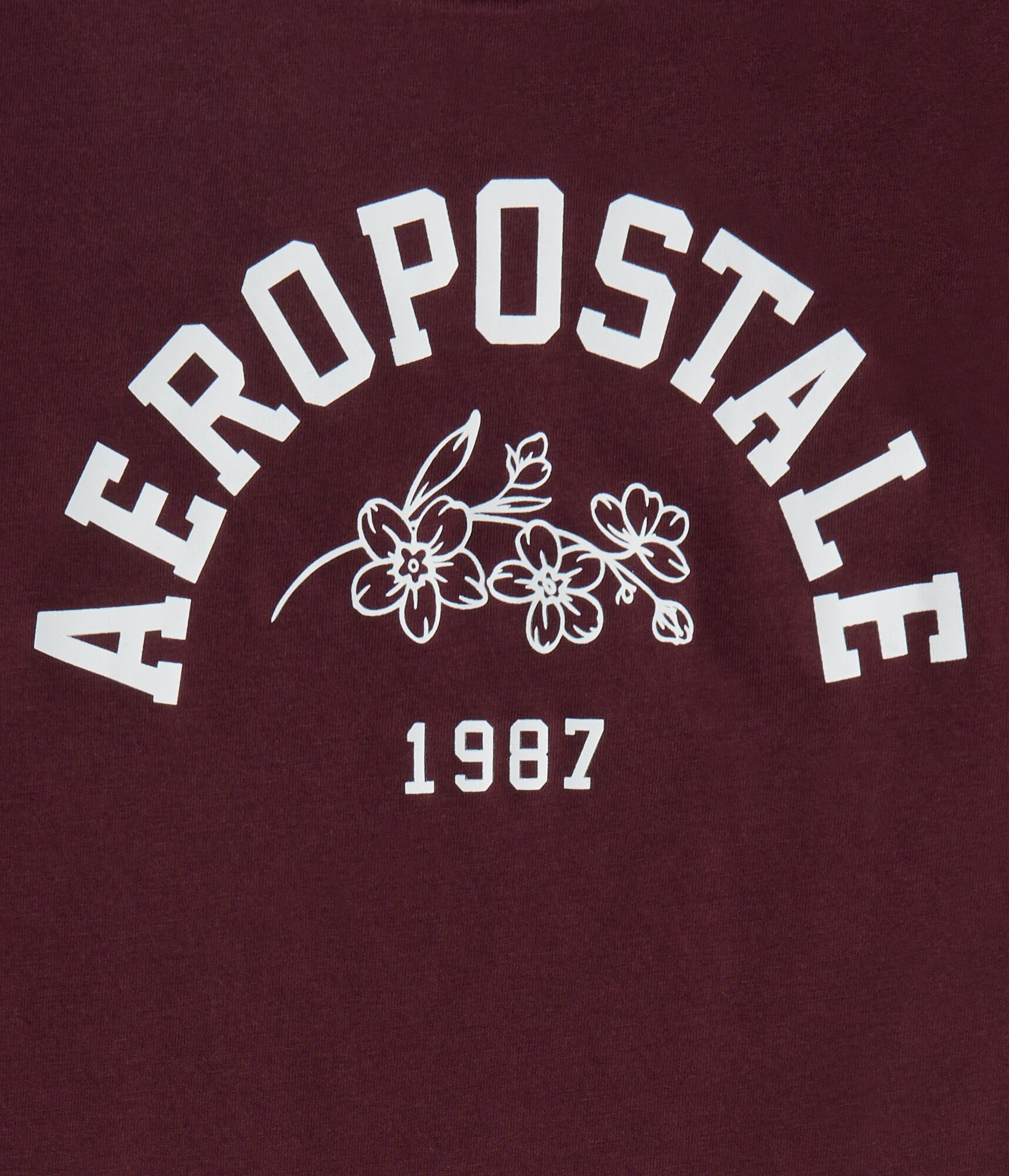 Aeropostale Arch Floral Graphic Tee