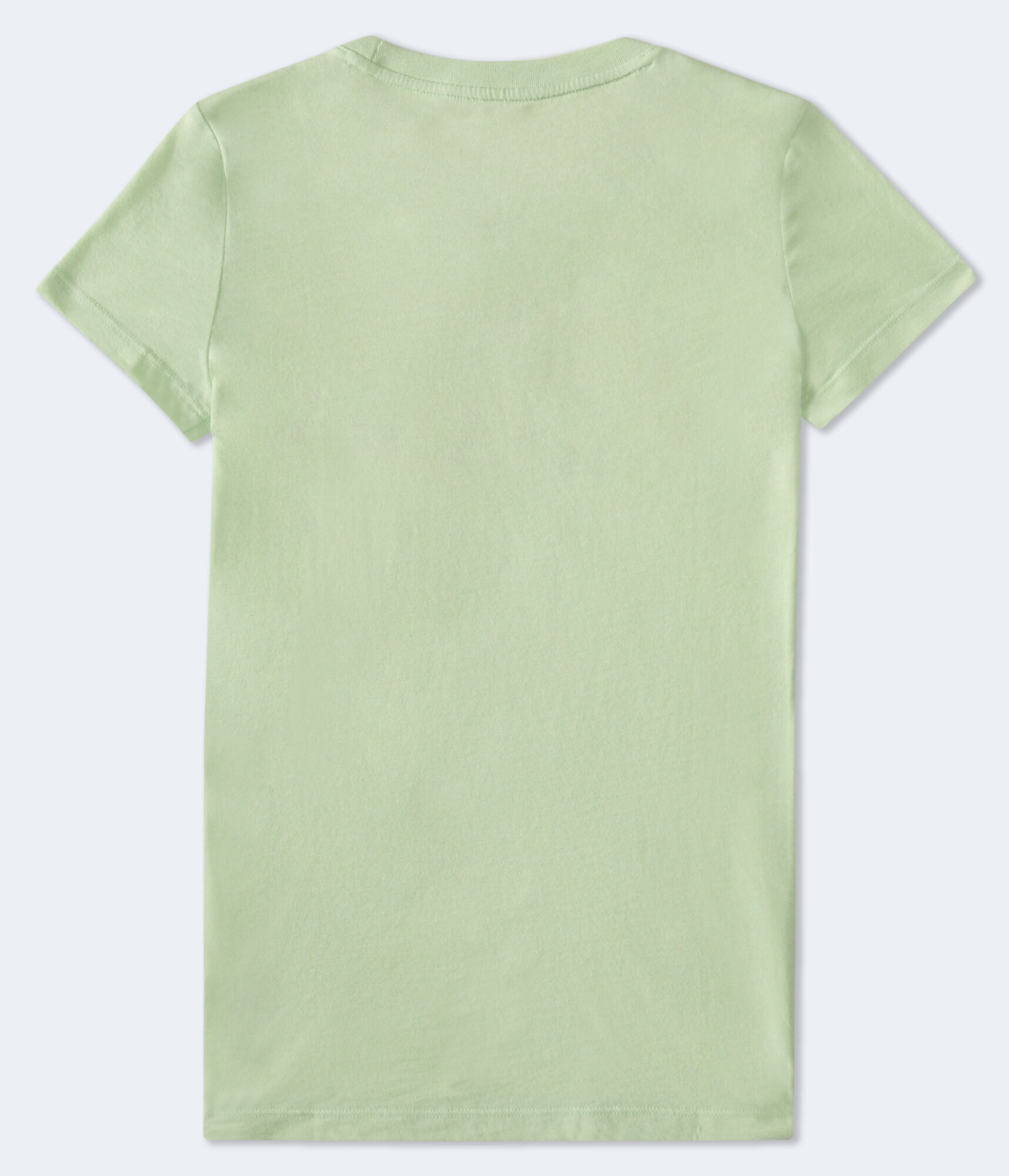 Aeropostale Crest Flocked Graphic Tee