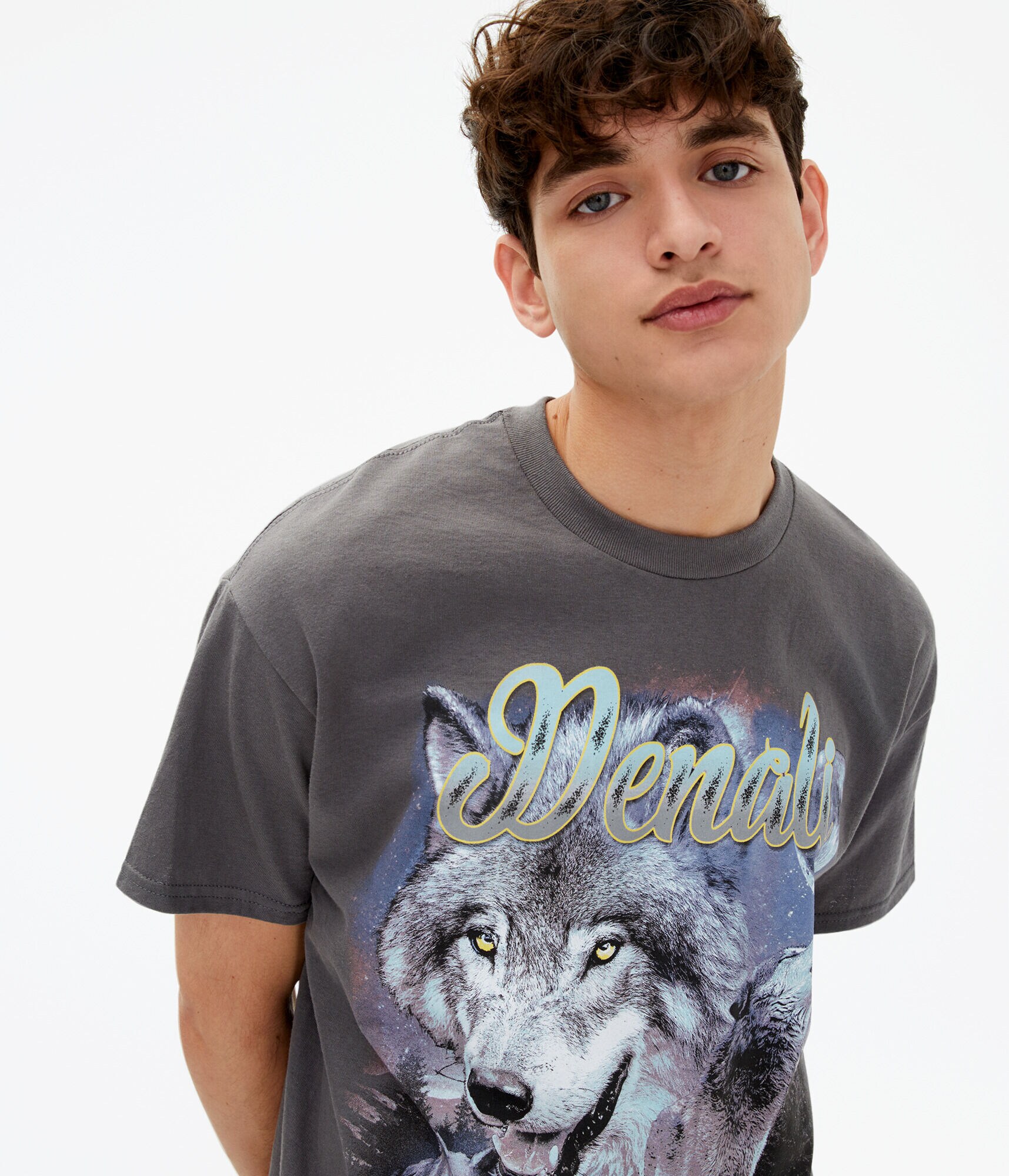 Denali Wolf Graphic Tee