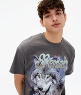 Denali Wolf Graphic Tee
