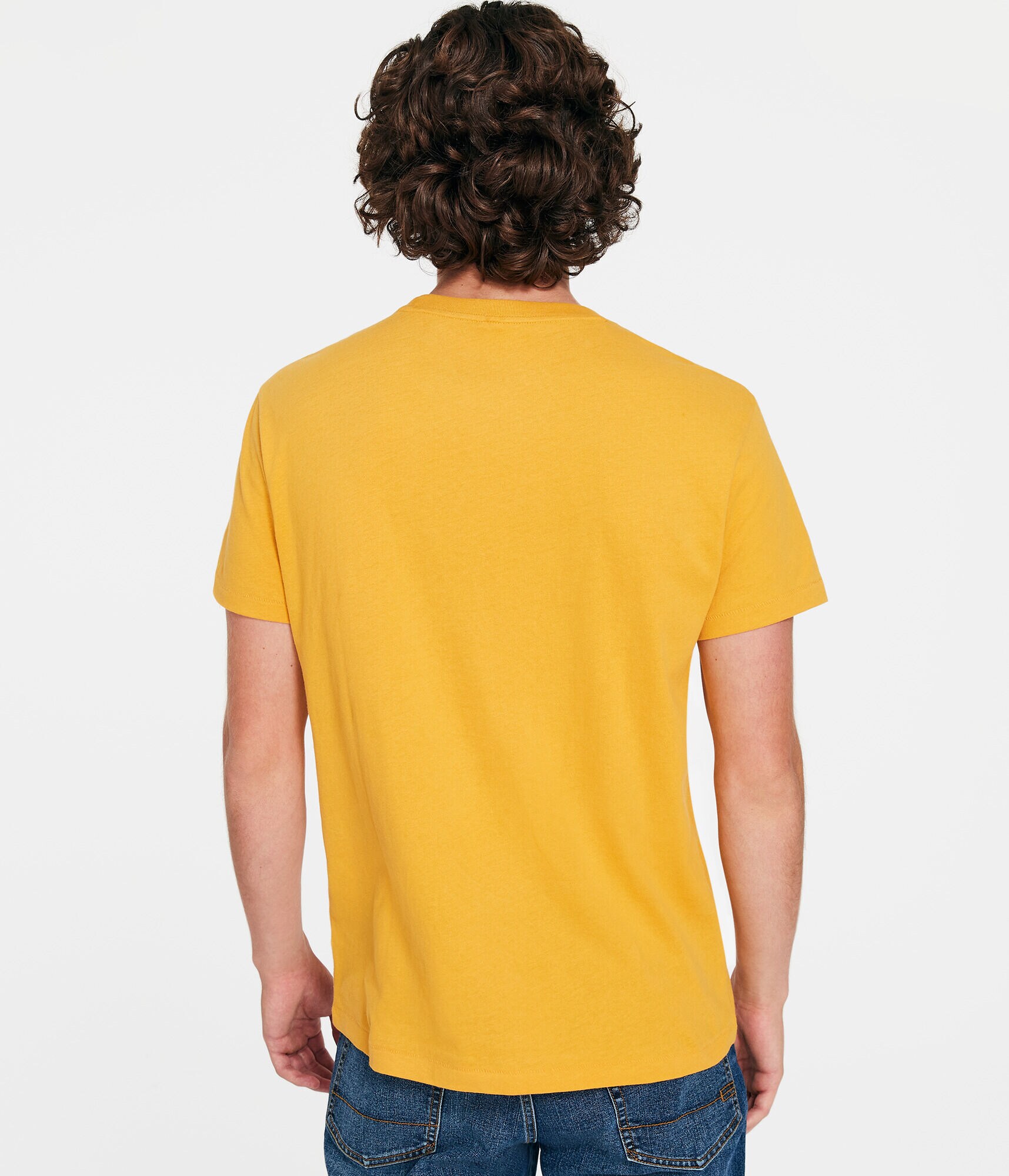 Aero Script Box Logo Graphic Tee