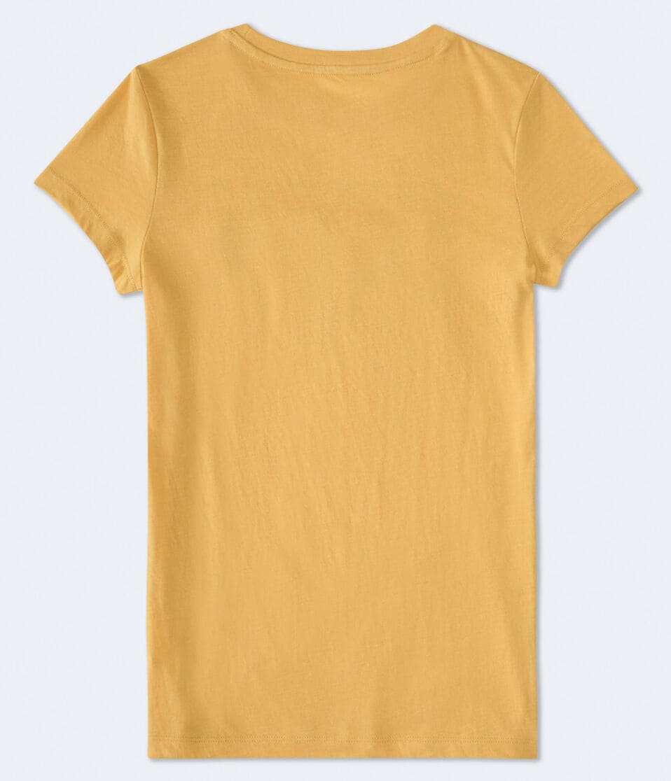 Aeropostale 1987 Appliqué Graphic Tee