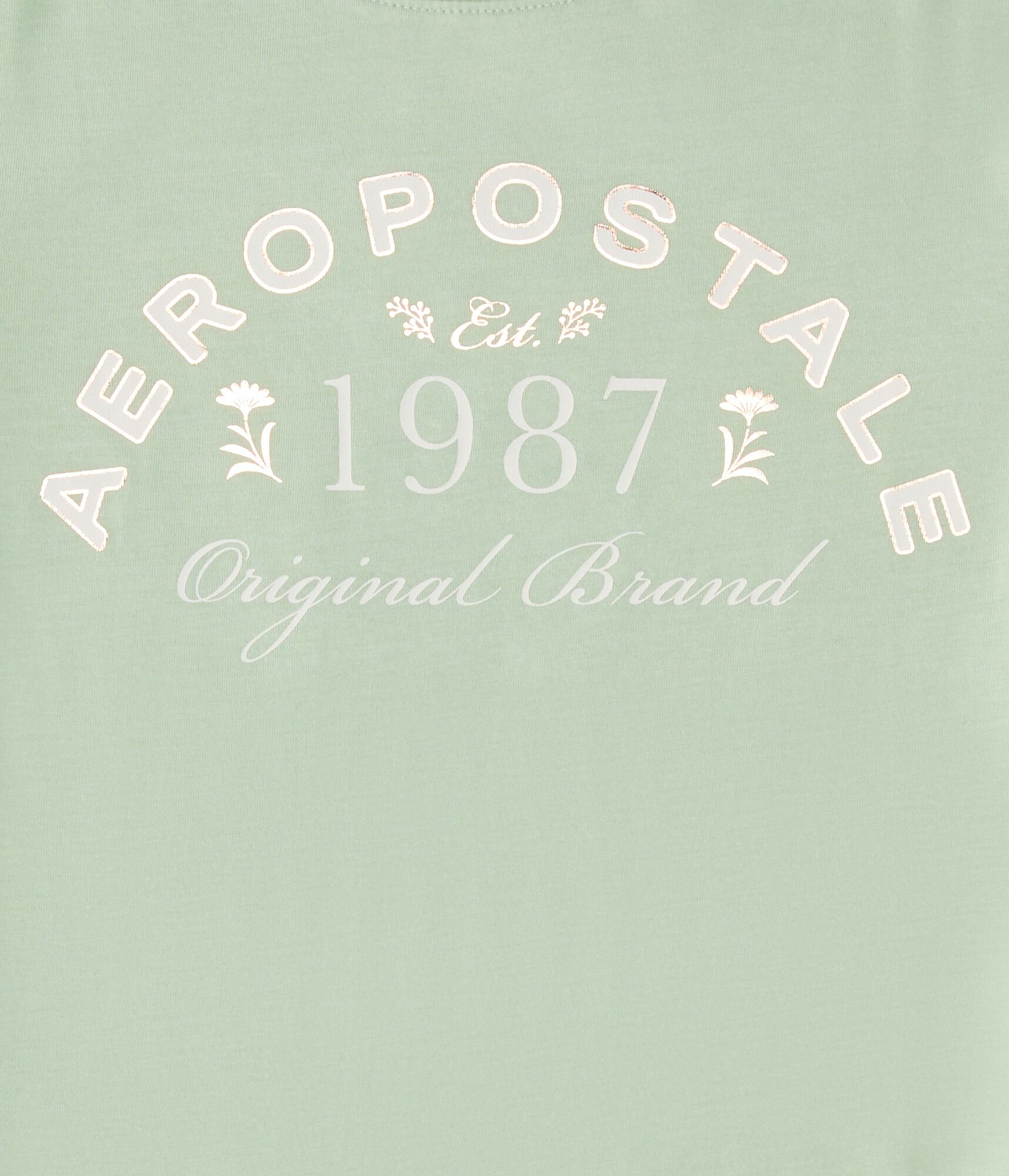 Aeropostale 1987 Foil Graphic Tee