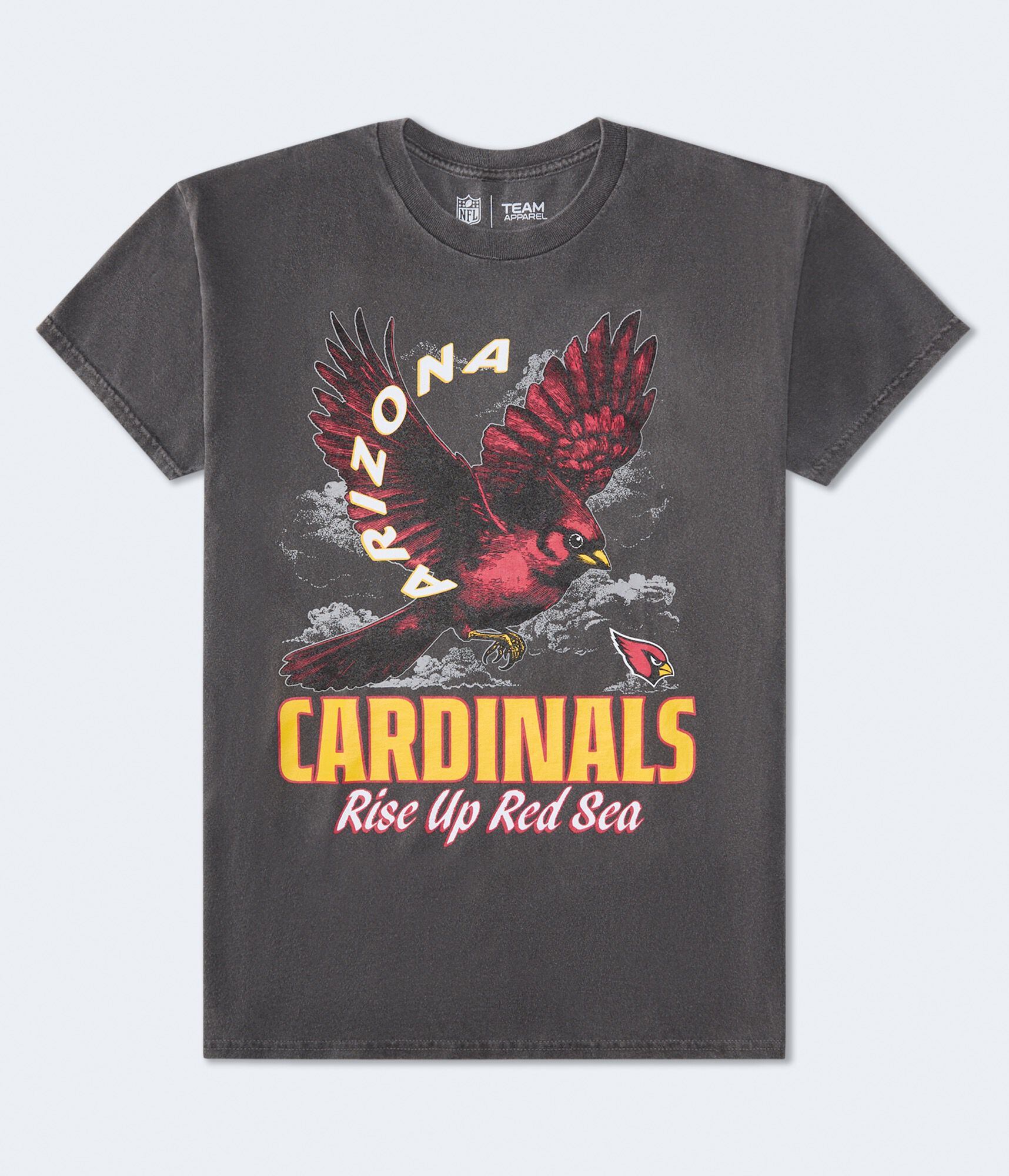 Arizona Cardinals Mascot Relaxed Graphic Tee