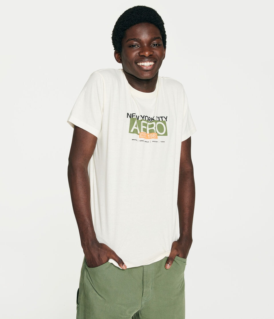 Aero New York City Boroughs Graphic Tee