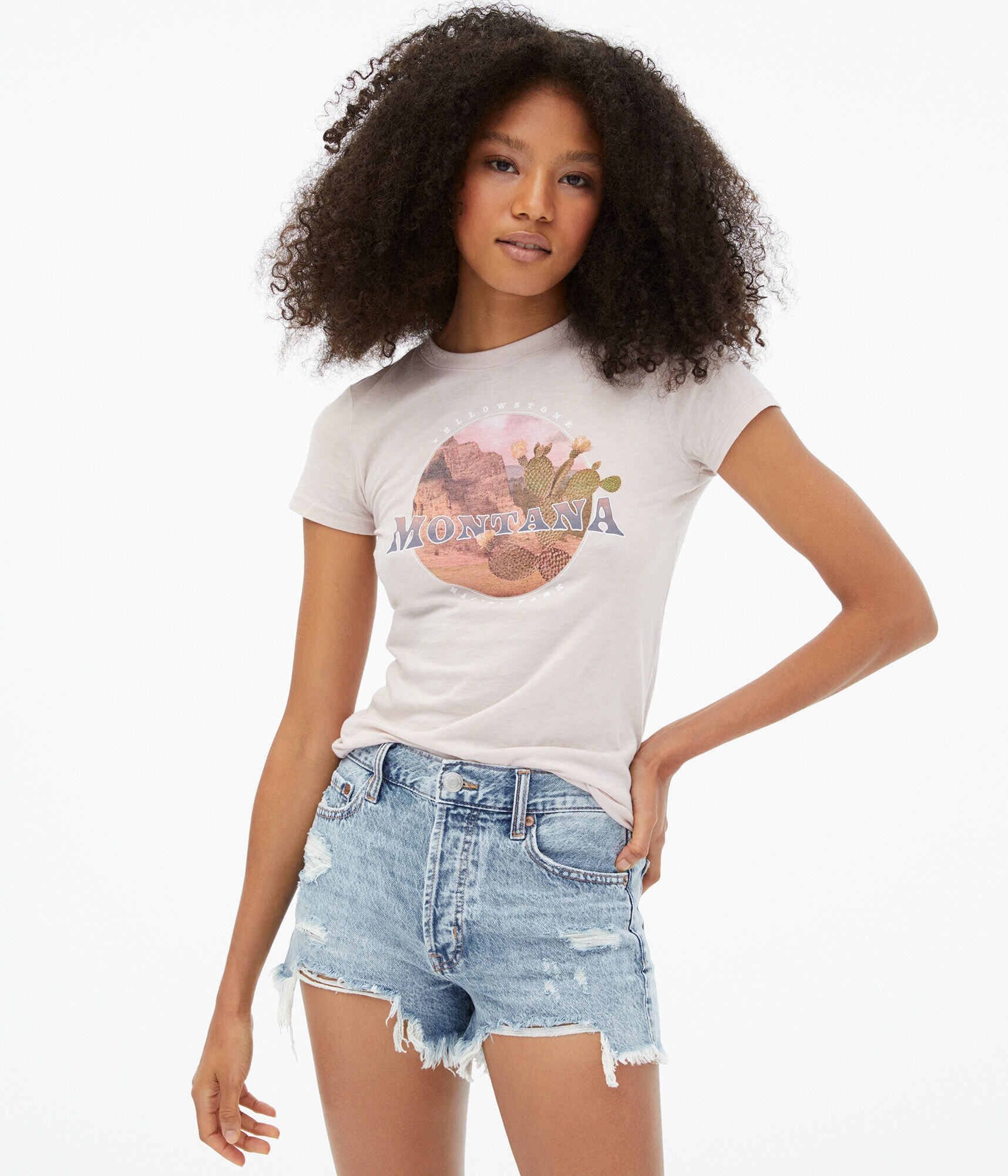 Montana Yellowstone Graphic Tee
