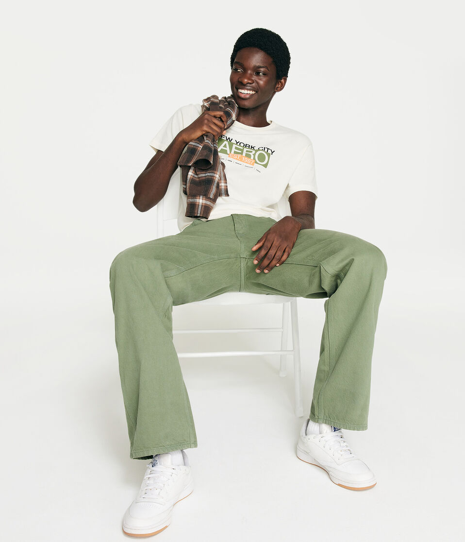 Aero New York City Boroughs Graphic Tee