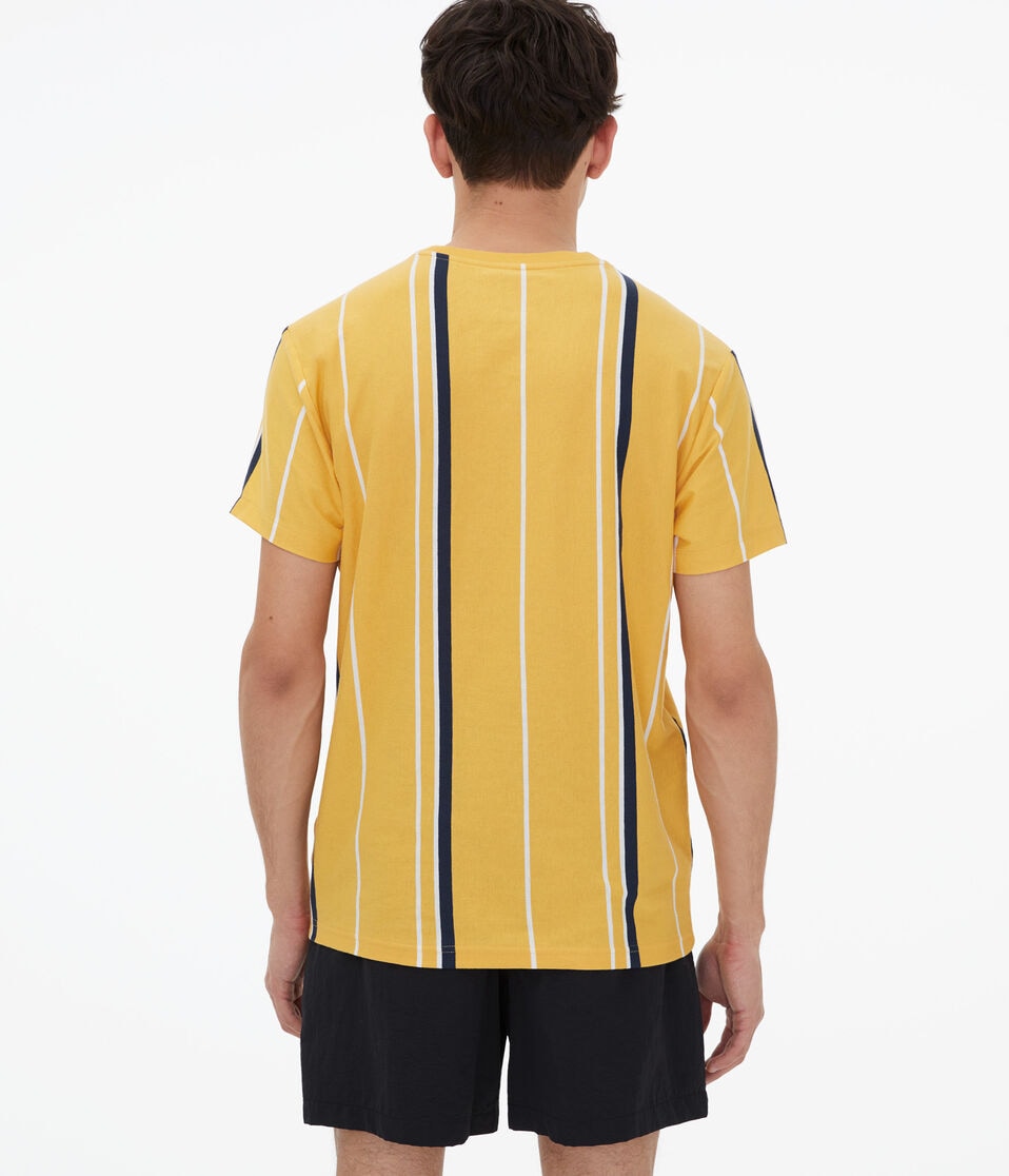 Aero Logo Vertical Stripe Graphic Tee