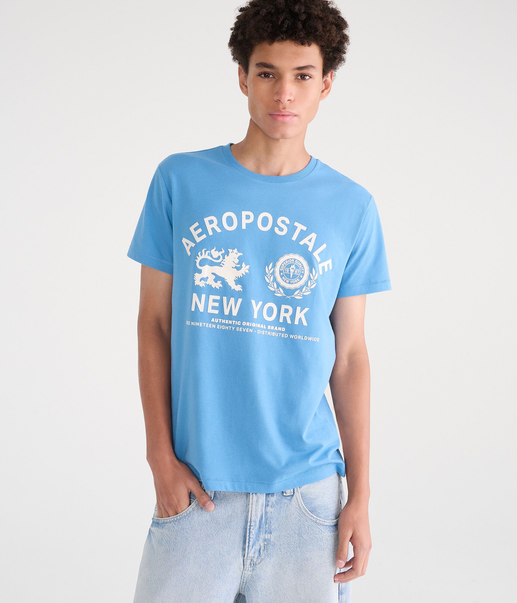 Aeropostale Lion Crest Flocked Graphic Tee