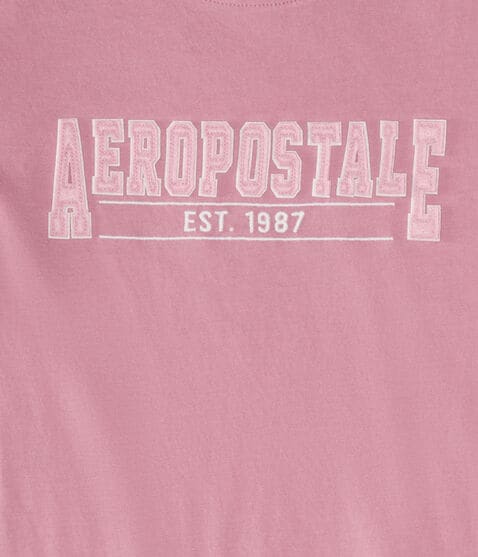 Aeropostale 1987 Appliqué Graphic Tee