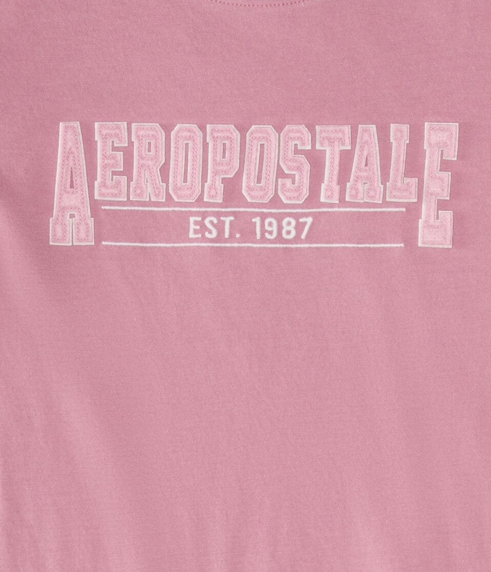 Aeropostale 1987 Appliqué Graphic Tee