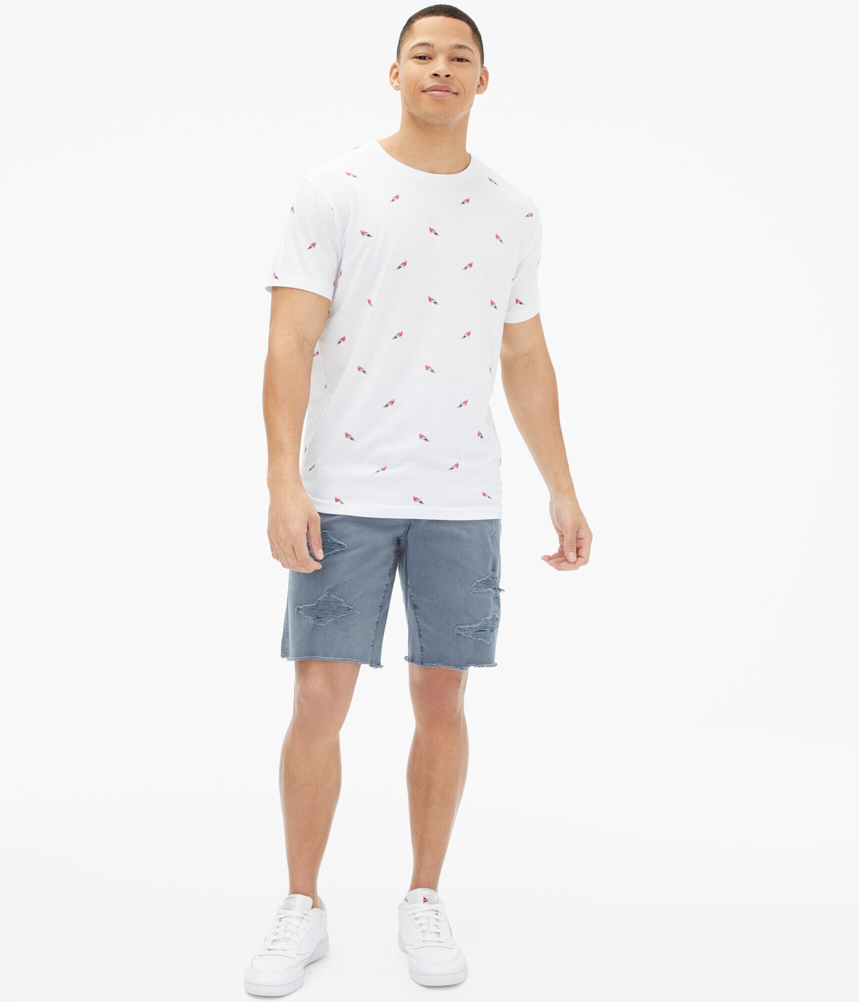 Parrot Print Graphic Tee