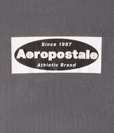 Aeropostale Box Logo Appliqué Graphic Tee