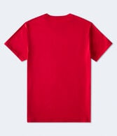 Aeropostale USA Flag Graphic Tee