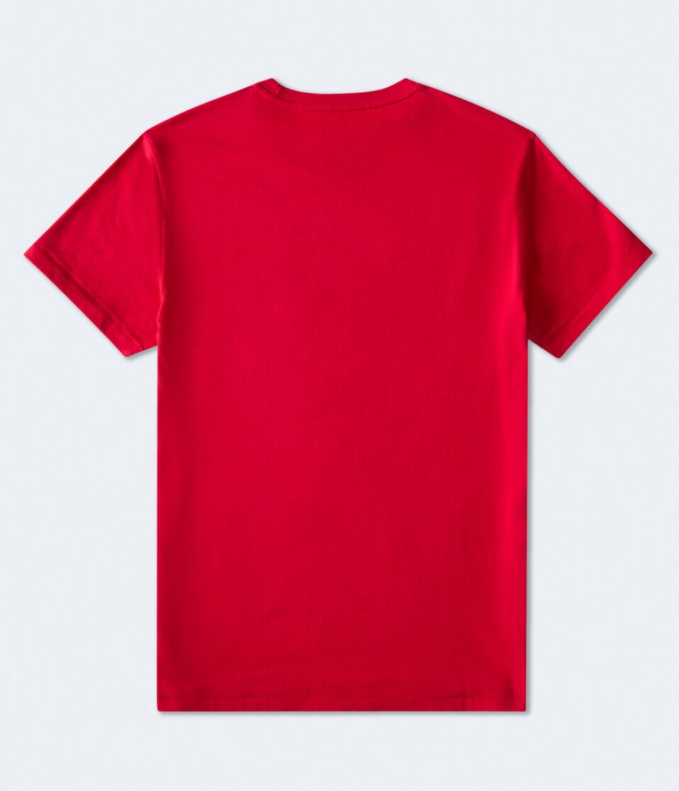 Aeropostale USA Flag Graphic Tee