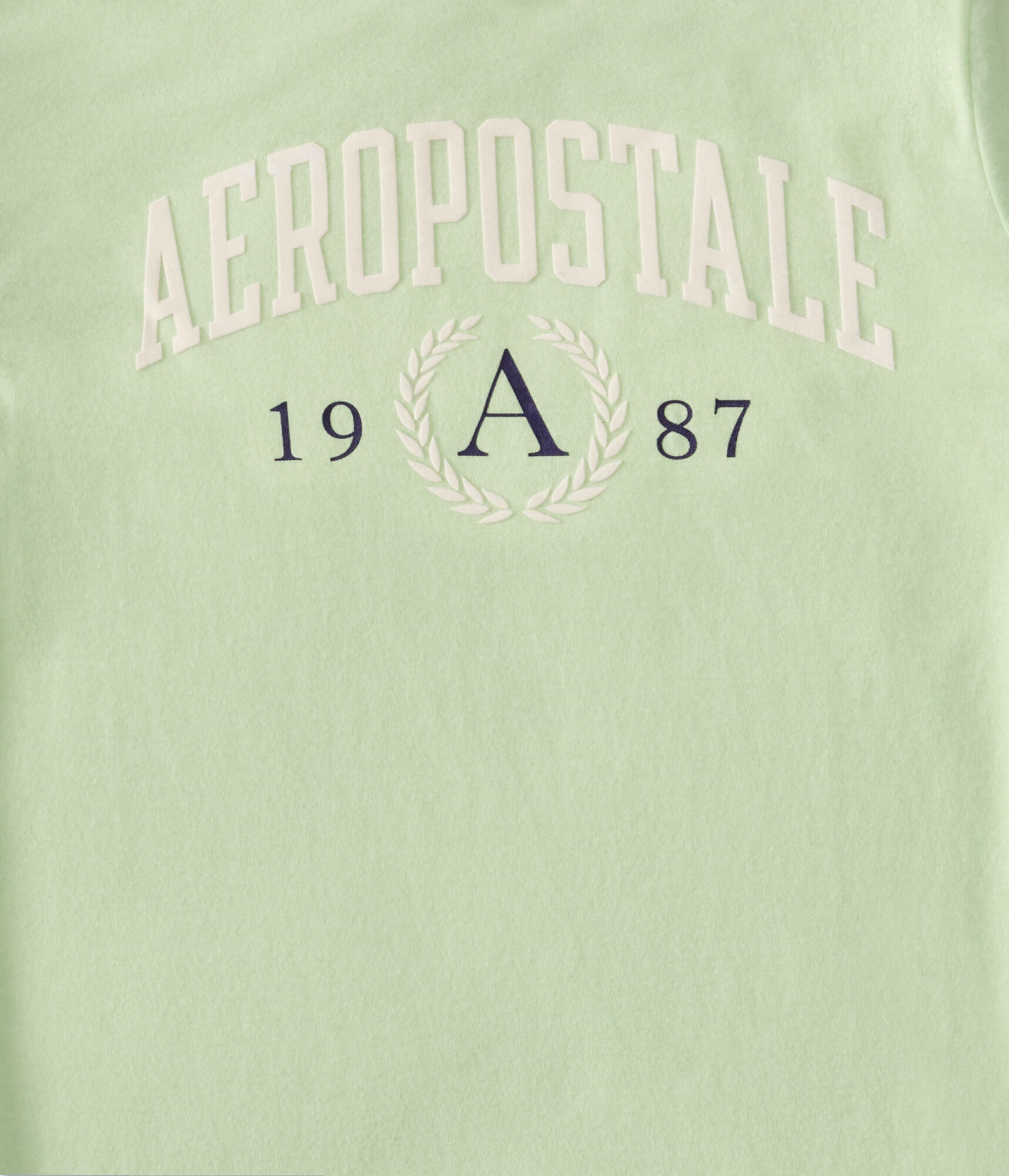 Aeropostale Crest Flocked Graphic Tee