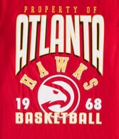 Property Of Atlanta Hawks Relaxed Graphic Tee
