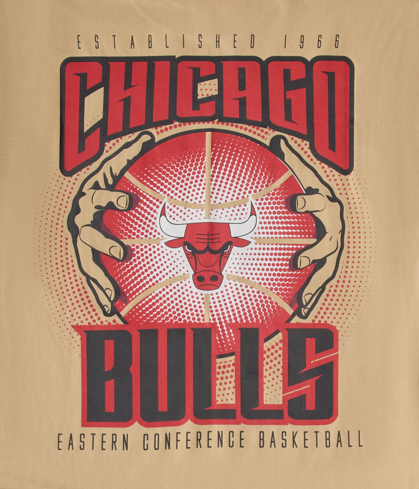 Chicago Bulls Basketball Relaxed Graphic Tee