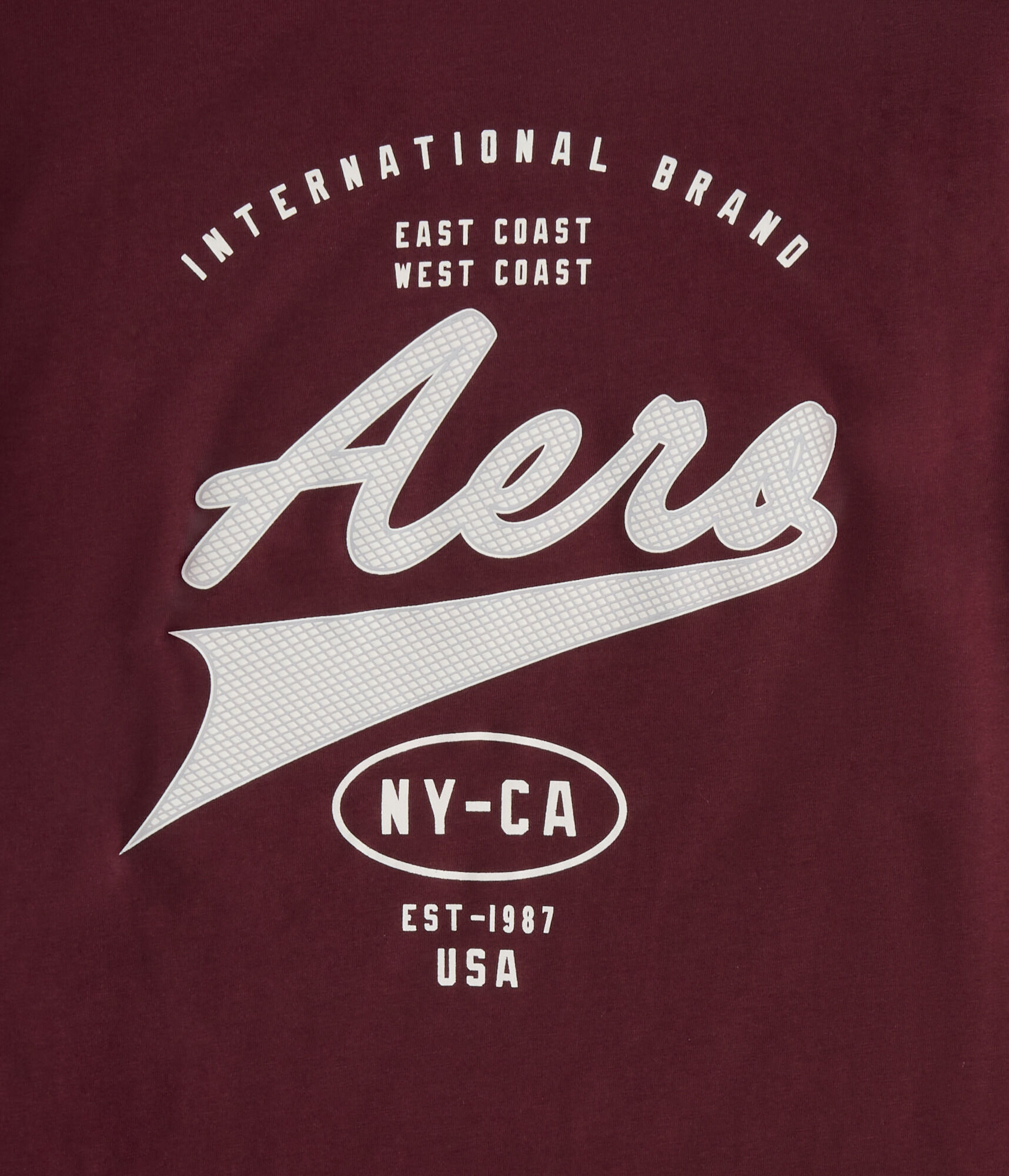 Aero Script Logo Graphic Tee