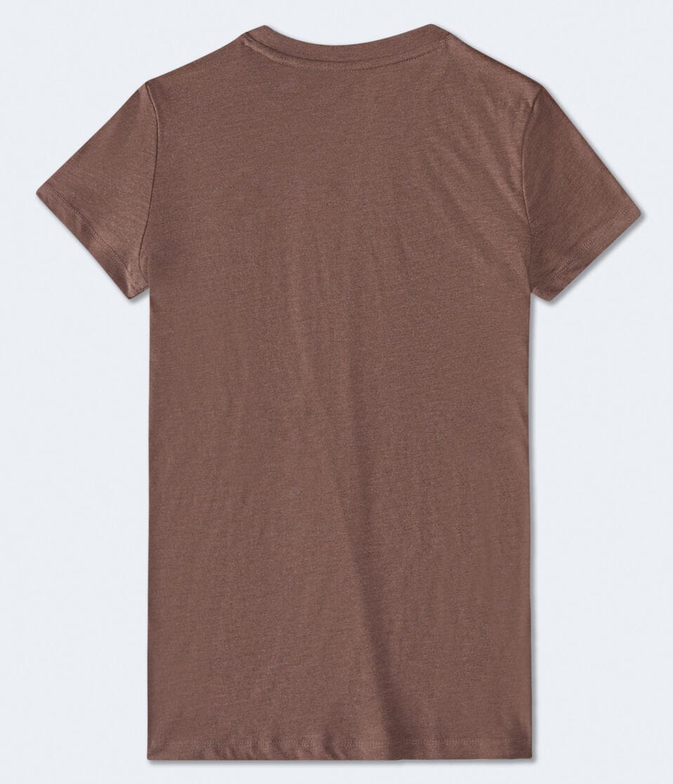 Aero East Coast Crest Appliqué Graphic Tee