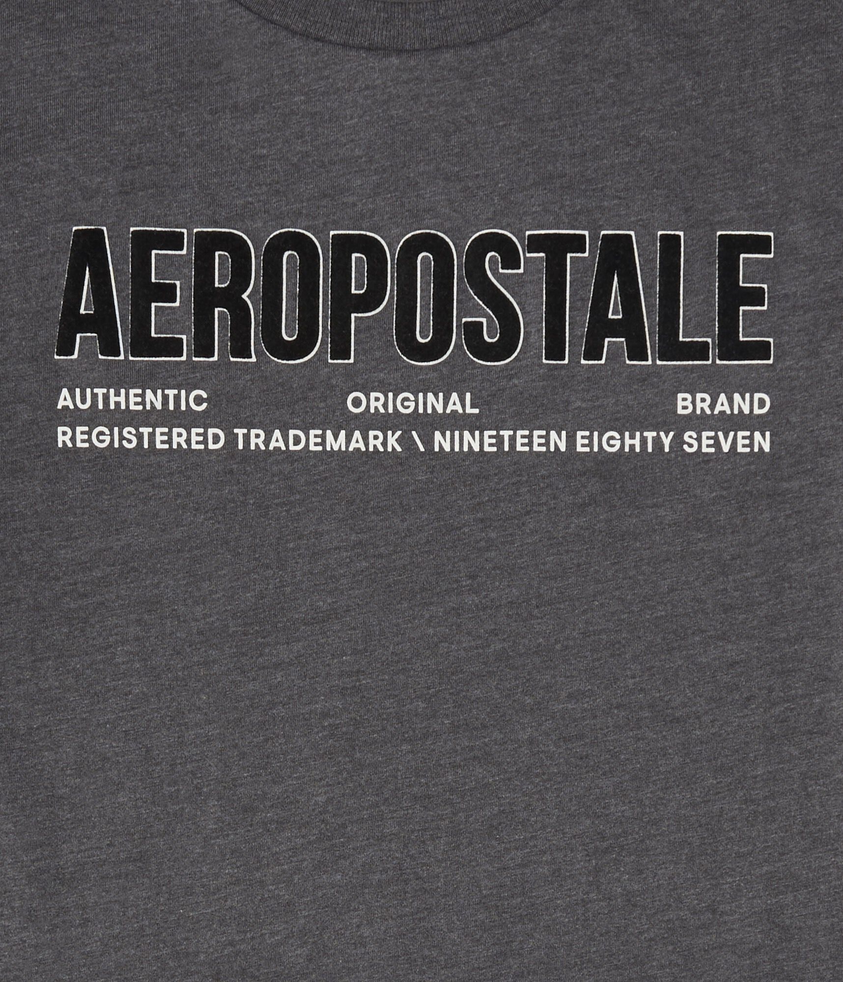 Aeropostale Authentic Logo Flocked Graphic Tee