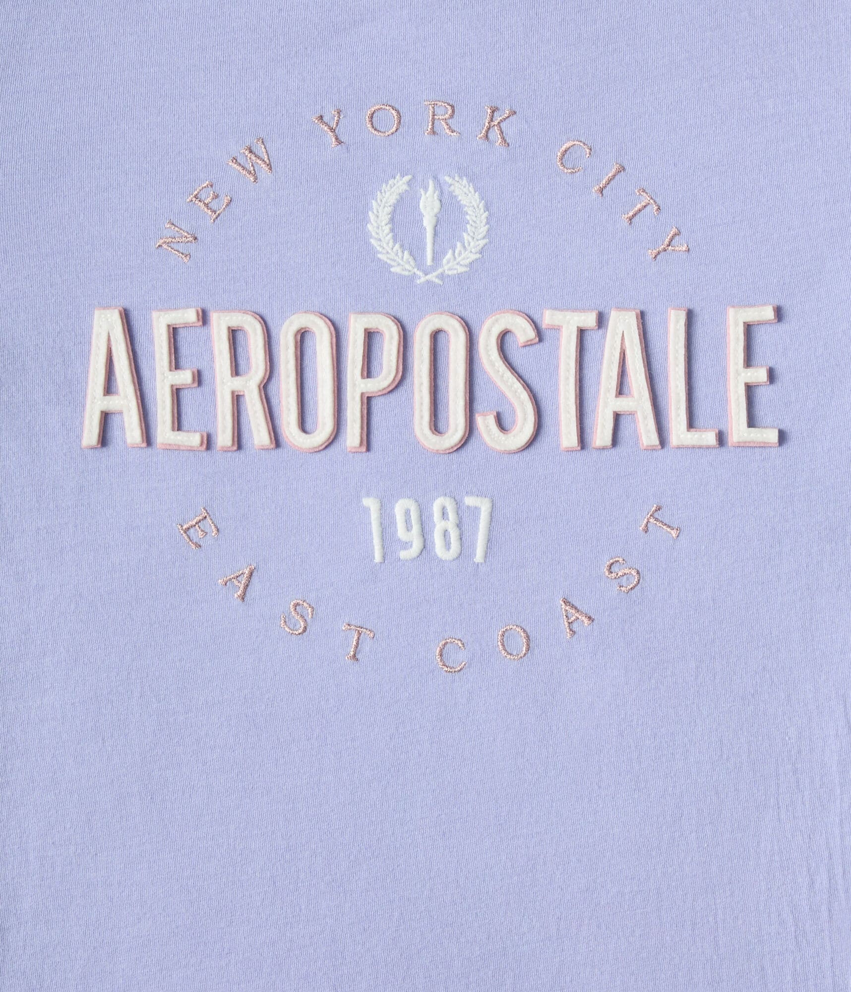 Aeropostale East Coast Appliqué Graphic Tee