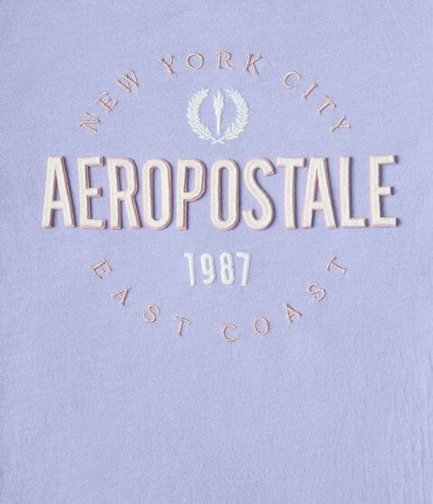 Aeropostale East Coast Appliqué Graphic Tee