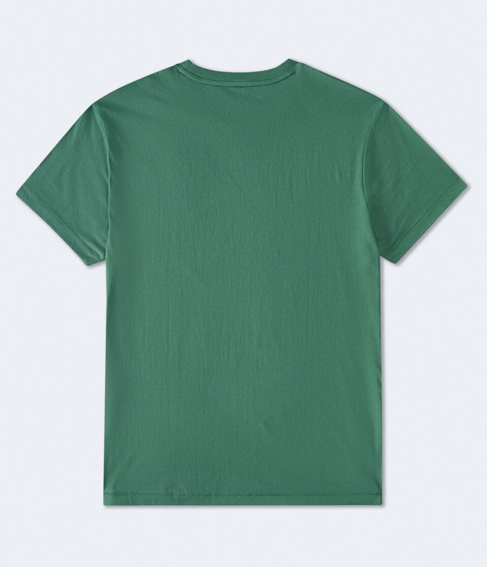 Aeropostale Original Brand Graphic Tee