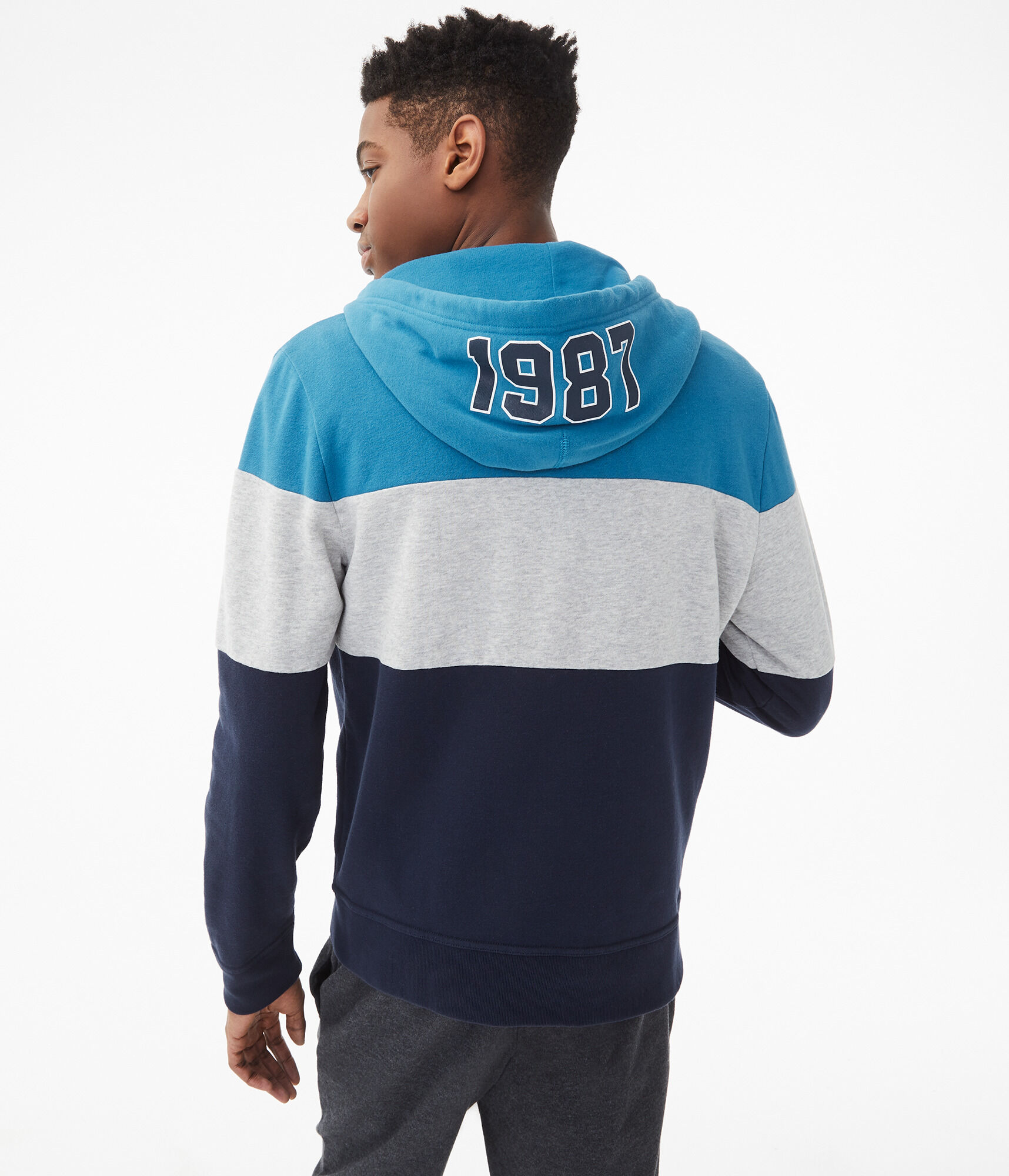 Aero Logo Colorblocked Full-Zip Hoodie