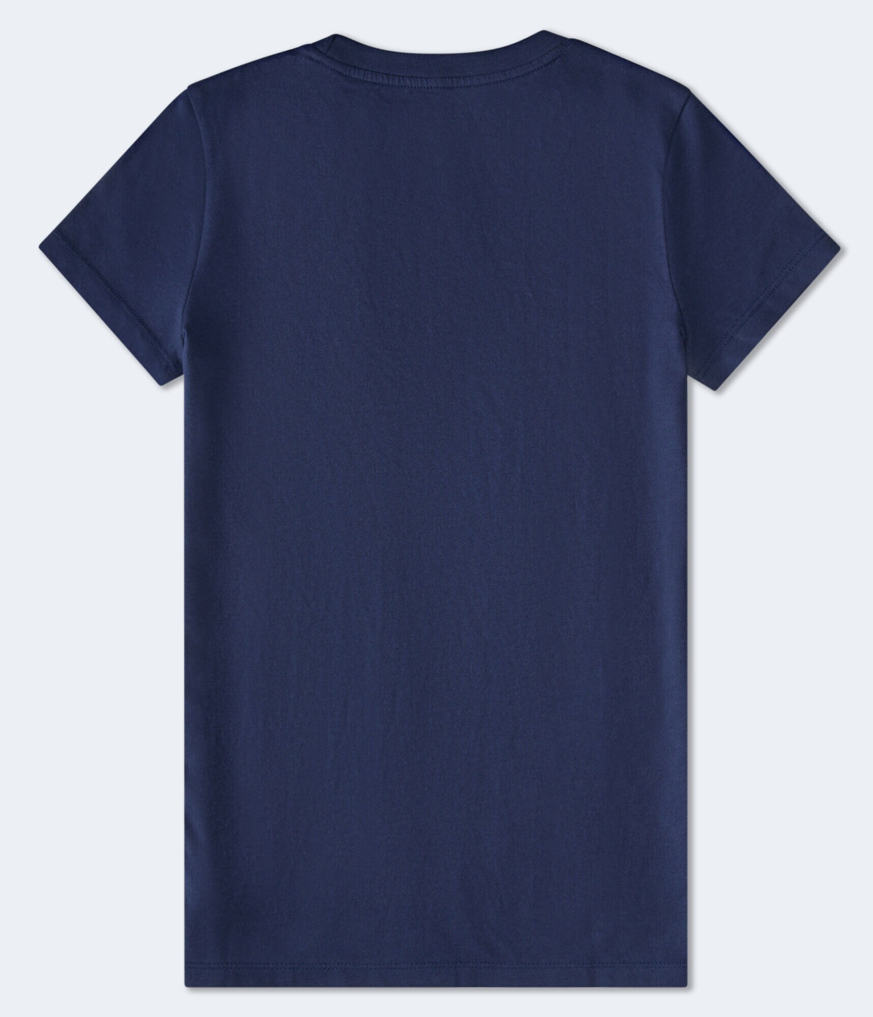 Aeropostale Script Rose Graphic Tee